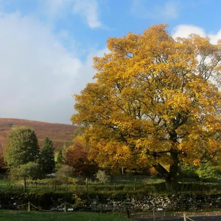 בית נופש 3 Bed In Sz318