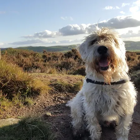 3 Bed In Sz318 * Watermillock