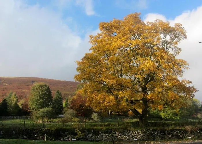 Nyaraló 3 Bed In Penrith Oc-sz318 *