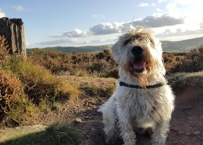 Nyaraló 3 Bed In Penrith Oc-sz318